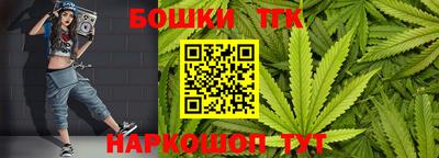 тгк Можга