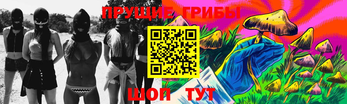 где найти наркотики  Вход с VPN  Чернушка  Псилоцибиновые грибы мицелий 