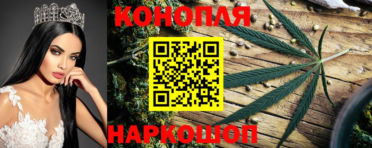 Канабис ГИДРОПОН Чернушка